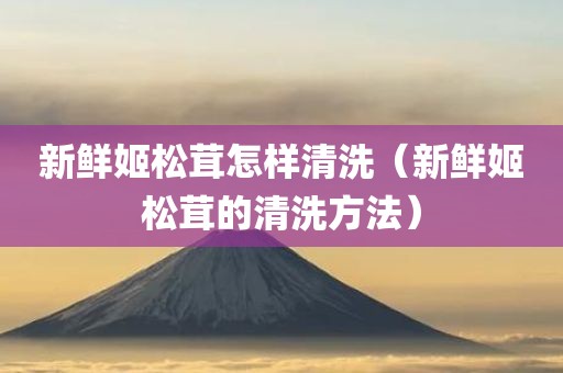 新鲜姬松茸怎样清洗（新鲜姬松茸的清洗方法）