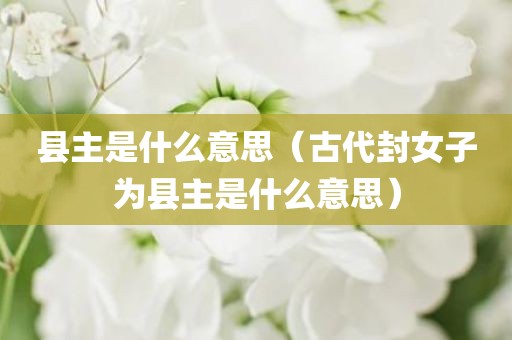 县主是什么意思（古代封女子为县主是什么意思）