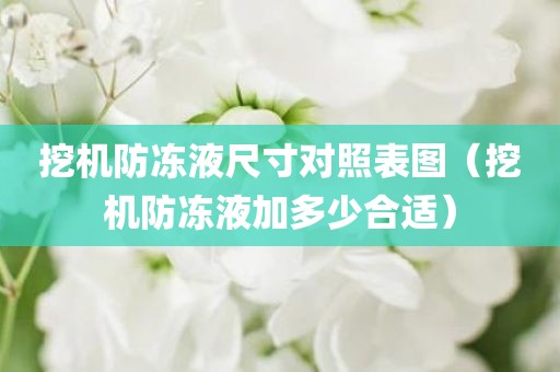挖机防冻液尺寸对照表图（挖机防冻液加多少合适）