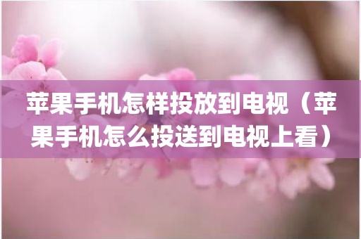 苹果手机怎样投放到电视（苹果手机怎么投送到电视上看）