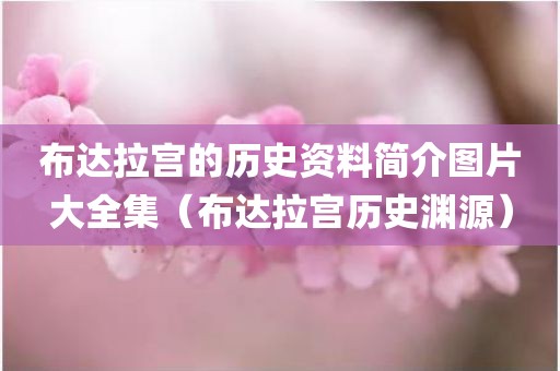 布达拉宫的历史资料简介图片大全集（布达拉宫历史渊源）
