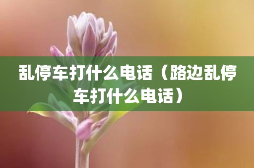 乱停车打什么电话（路边乱停车打什么电话）