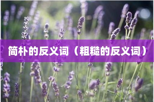 简朴的反义词（粗糙的反义词）