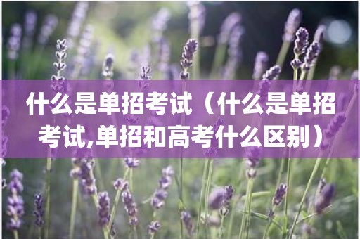 什么是单招考试（什么是单招考试,单招和高考什么区别）