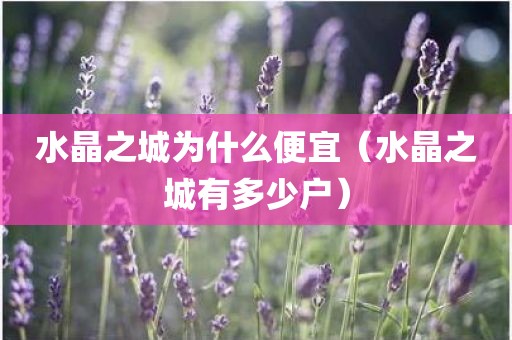 水晶之城为什么便宜（水晶之城有多少户）