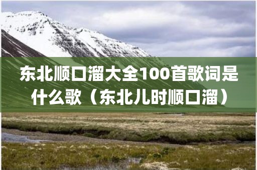 东北顺口溜大全100首歌词是什么歌（东北儿时顺口溜）