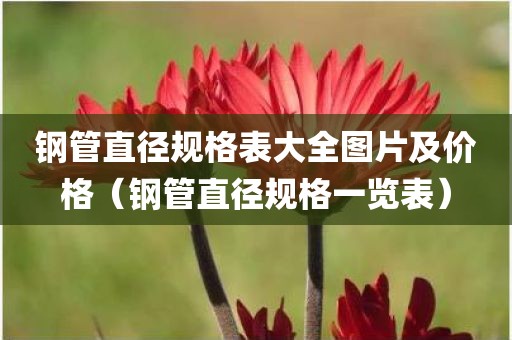 钢管直径规格表大全图片及价格（钢管直径规格一览表）