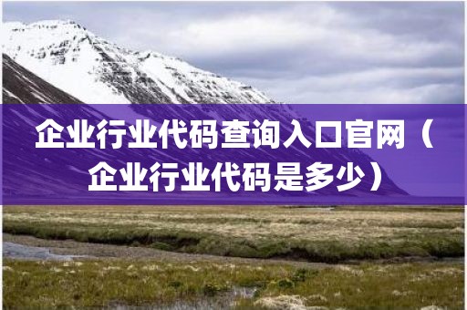 企业行业代码查询入口官网（企业行业代码是多少）