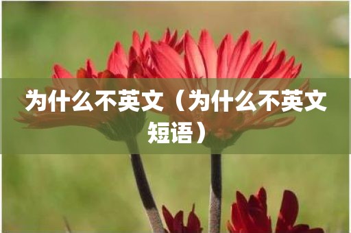 为什么不英文（为什么不英文短语）
