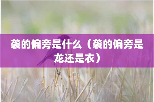 袭的偏旁是什么（袭的偏旁是龙还是衣）