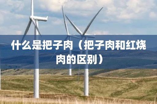 什么是把子肉（把子肉和红烧肉的区别）