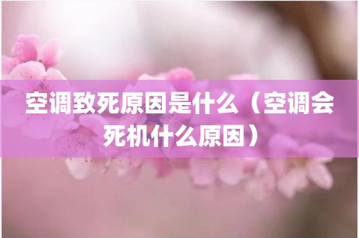 空调致死原因是什么（空调会死机什么原因）