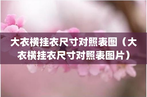 大衣横挂衣尺寸对照表图（大衣横挂衣尺寸对照表图片）