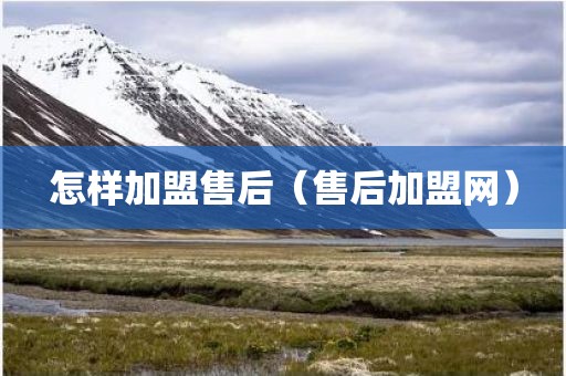 怎样加盟售后（售后加盟网）