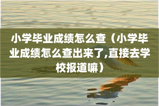 小学毕业成绩怎么查（小学毕业成绩怎么查出来了,直接去学校报道嘛）