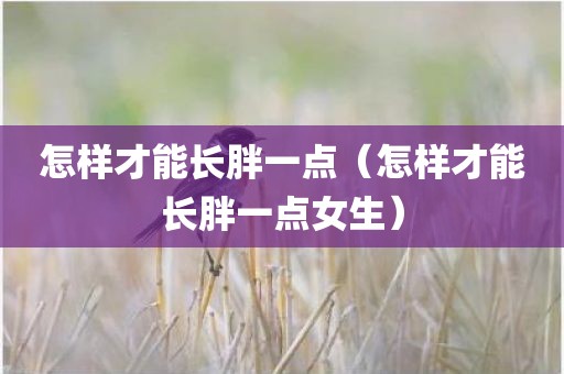 怎样才能长胖一点(怎样才能长胖一点女生)