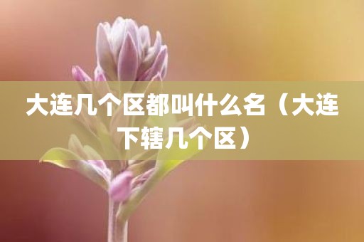 大连几个区都叫什么名（大连下辖几个区）