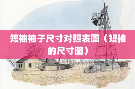 短袖袖子尺寸对照表图（短袖的尺寸图）