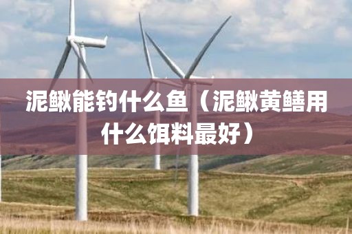 泥鳅能钓什么鱼（泥鳅黄鳝用什么饵料最好）