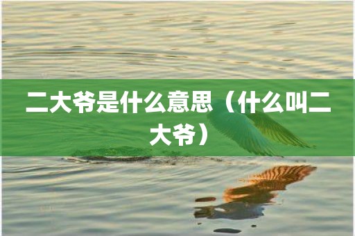 二大爷是什么意思（什么叫二大爷）