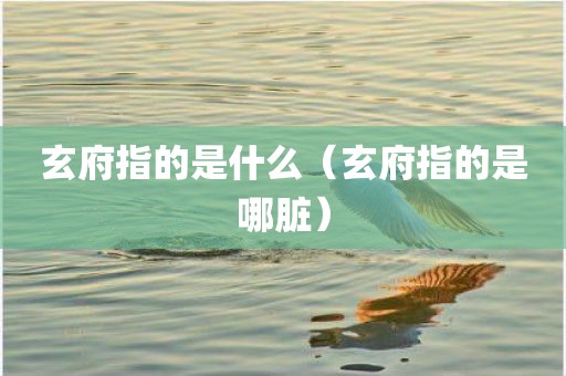 玄府指的是什么（玄府指的是哪脏）