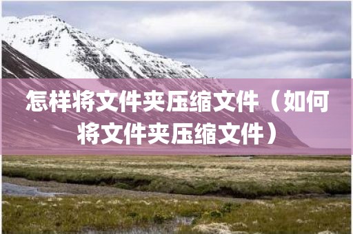 怎样将文件夹压缩文件（如何将文件夹压缩文件）