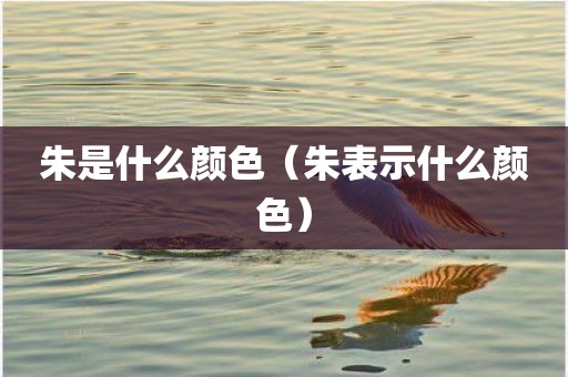 朱是什么颜色（朱表示什么颜色）