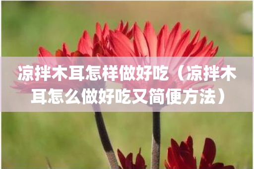 凉拌木耳怎样做好吃（凉拌木耳怎么做好吃又简便方法）