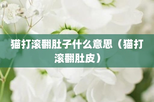 猫打滚翻肚子什么意思（猫打滚翻肚皮）