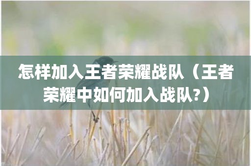 怎样加入王者荣耀战队（王者荣耀中如何加入战队?）