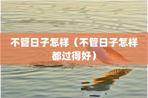 不管日子怎样(不管日子怎样都过得好)
