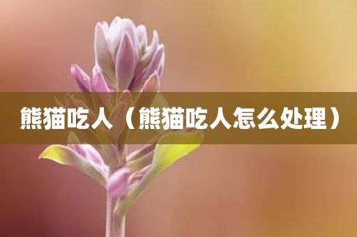 熊猫吃人（熊猫吃人怎么处理）