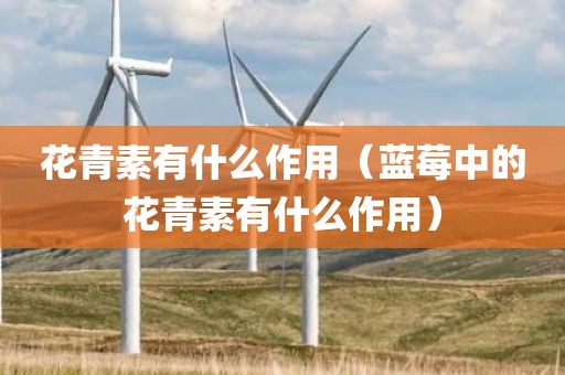 花青素有什么作用（蓝莓中的花青素有什么作用）