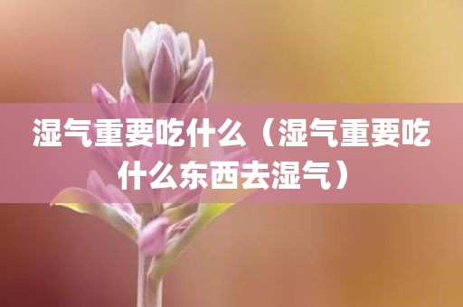 湿气重要吃什么（湿气重要吃什么东西去湿气）
