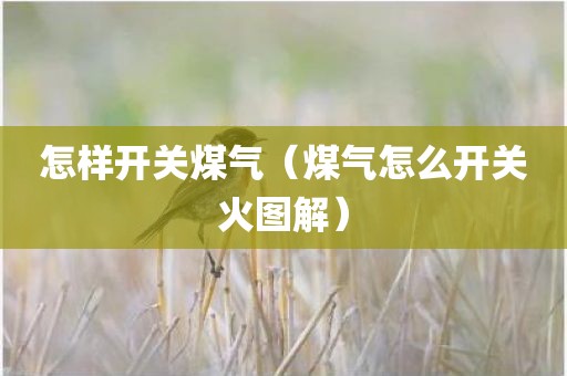 怎样开关煤气（煤气怎么开关火图解）