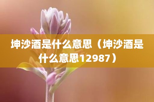 坤沙酒是什么意思（坤沙酒是什么意思12987）