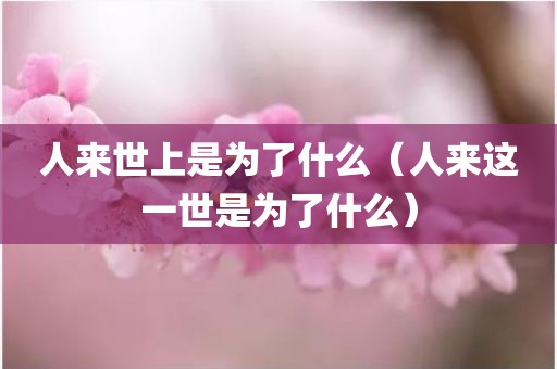 人来世上是为了什么（人来这一世是为了什么）