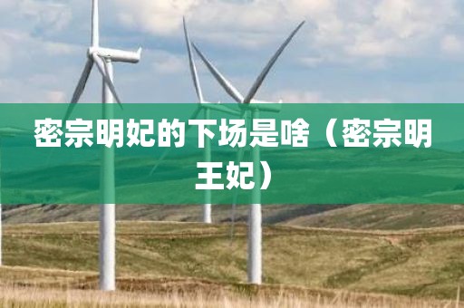 密宗明妃的下场是啥(密宗明王妃)
