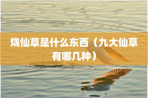 烧仙草是什么东西（九大仙草有哪几种）