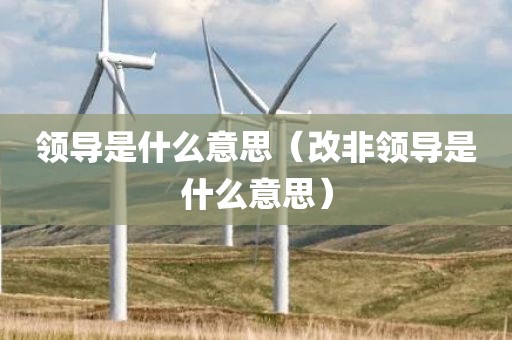 领导是什么意思（改非领导是什么意思）