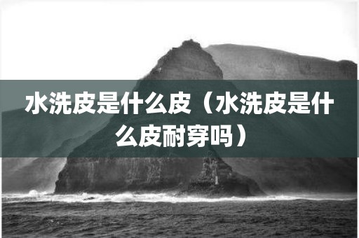 水洗皮是什么皮（水洗皮是什么皮耐穿吗）