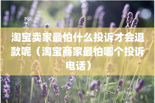 淘宝卖家最怕什么投诉才会退款呢（淘宝商家最怕哪个投诉电话）