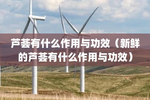 芦荟有什么作用与功效（新鲜的芦荟有什么作用与功效）