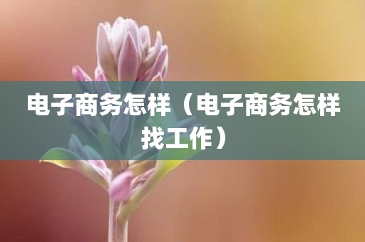电子商务怎样（电子商务怎样找工作）