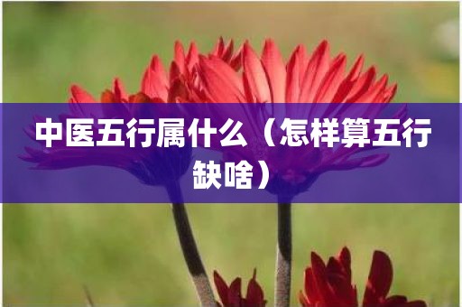 中医五行属什么（怎样算五行缺啥）