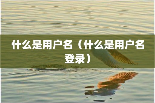 什么是用户名（什么是用户名登录）