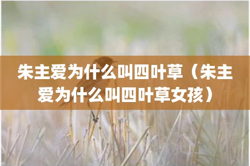 朱主爱为什么叫四叶草（朱主爱为什么叫四叶草女孩）