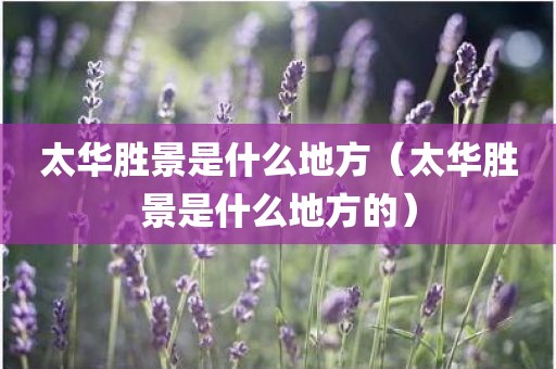 太华胜景是什么地方（太华胜景是什么地方的）