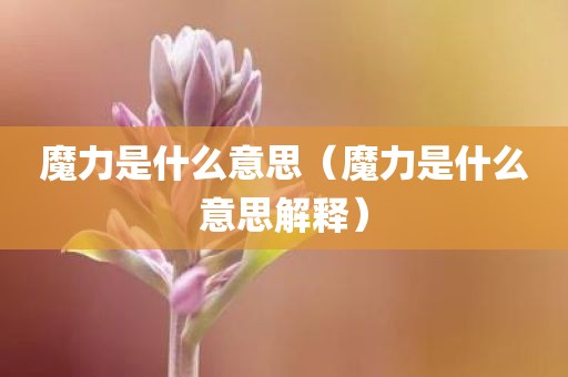 魔力是什么意思（魔力是什么意思解释）