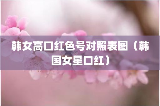 韩女高口红色号对照表图（韩国女星口红）